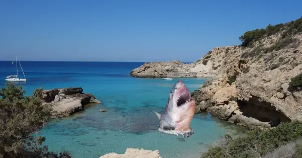 Zijn er haaien in Ibiza